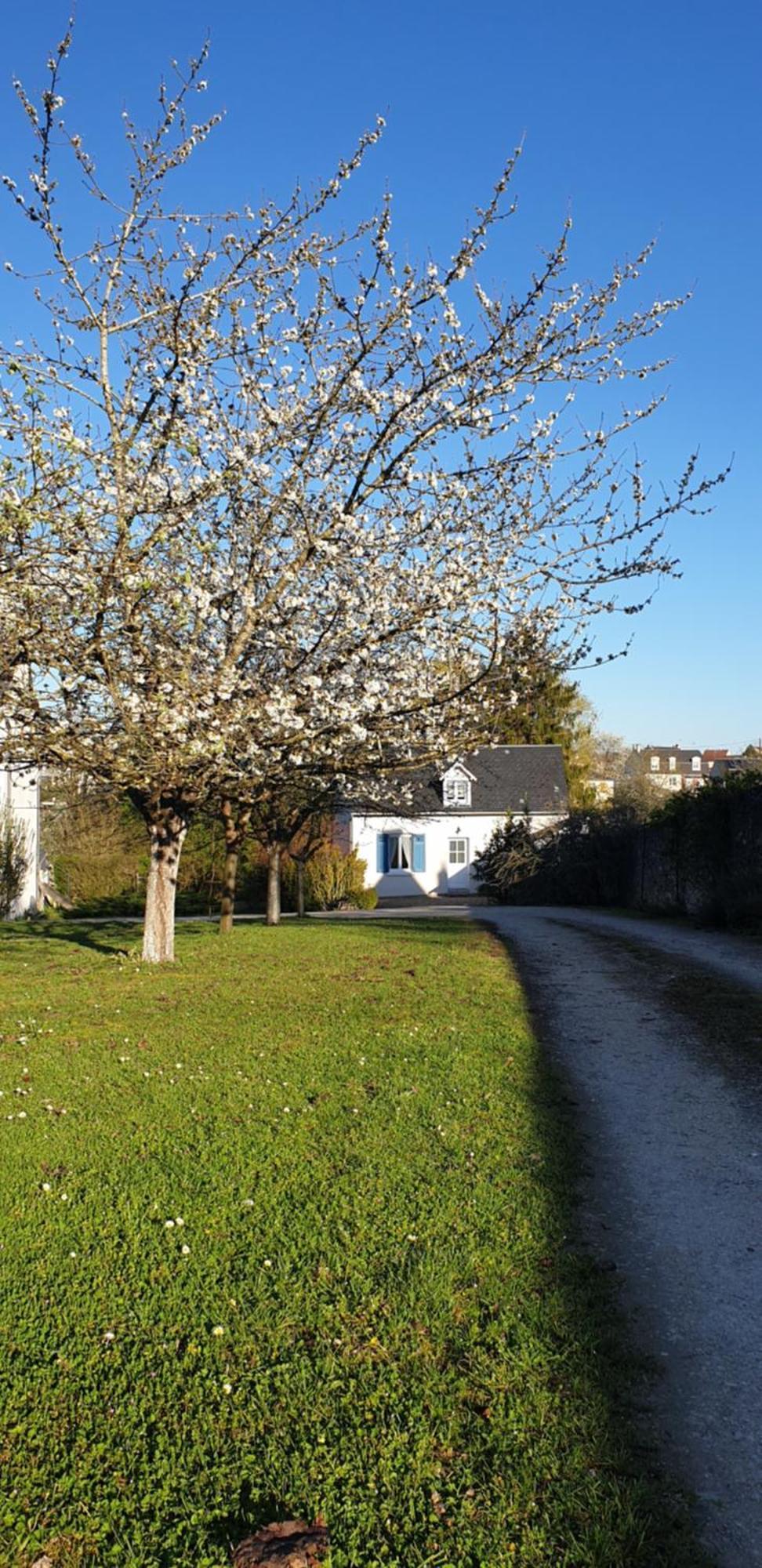 Le Fruitier * Beaugency